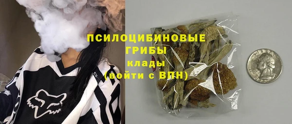 бошки Балахна