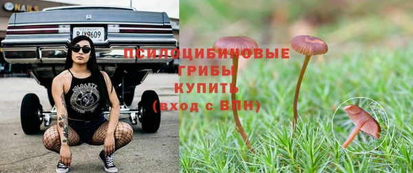 каннабис Баксан