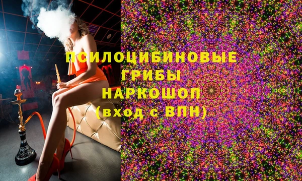 бошки Балахна