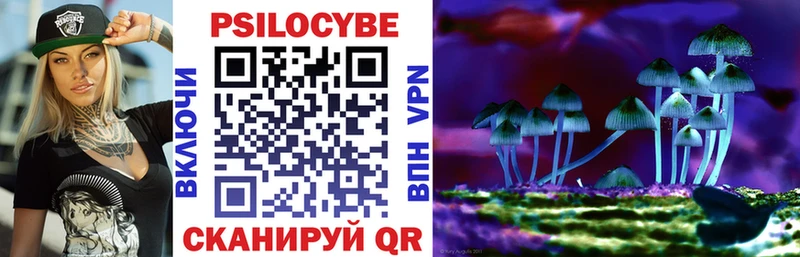 Галлюциногенные грибы Psilocybine cubensis  Купить  Туймазы 
